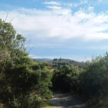 Il Pettirosso Apartman *