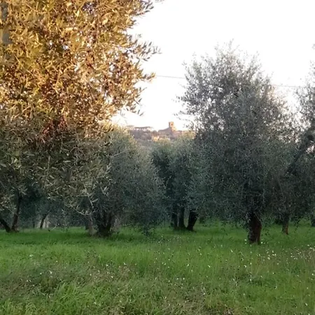 Apartman Il Pettirosso